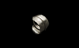 Larry Smith feather Ring